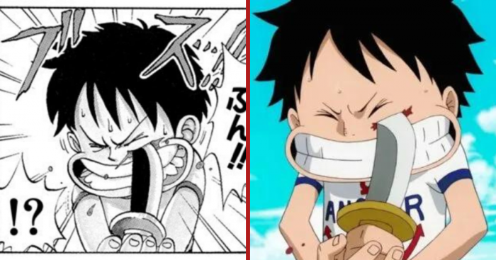 one piece différence anime manga cicatrice luffy