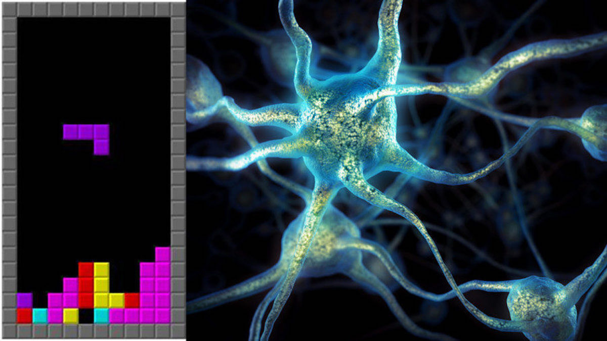 Trois Cerveaux Sont Parvenus A Collaborer Par Telepathie Pour Mener Une Partie De Tetris