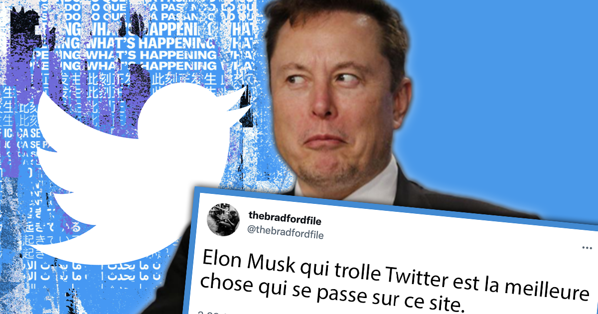 Elon Musk finally creates the surprise and trolls Twitter in style