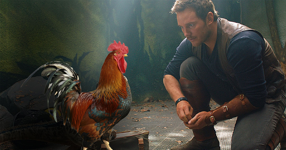 Acteur Jurassic World Le Monde D'après Jurassic World Le Monde d'après : les dinosaures seront très différents