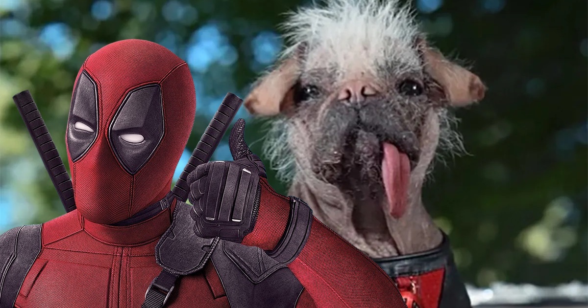 Deadpool & Wolverine Ryan Reynolds dévoile l