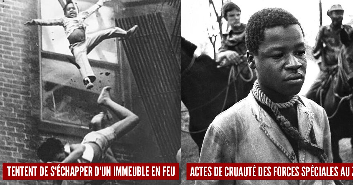 Ces 30 photos chocs qui ont mérité leur prix Pulitzer