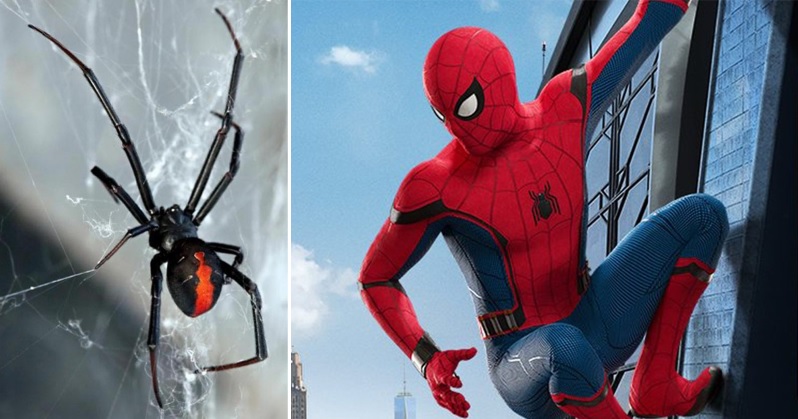 Ce fan de Spider-Man a créé un propulseur de fils d'araignée qui se collent  (presque) partout